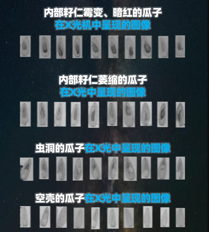 http://www.zhhtmsw.com/Upload/ueditor/1739781746639725.png