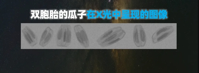 http://www.zhhtmsw.com/Upload/ueditor/1739781751262784.png