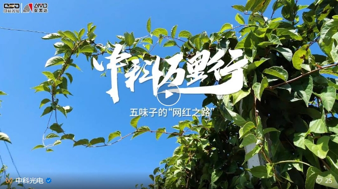http://www.zhhtmsw.com/Upload/ueditor/1743473521157045.png